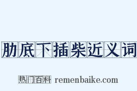 肋底下插柴近义词是什么意思的图片